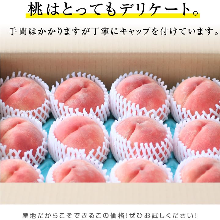 Amazon.co.jp: 山下屋荘介 桃 あかつき 小玉 3kg 長野県産 (12玉